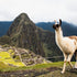 Machu Picchu: A Photography Guide to the Land in the Clouds